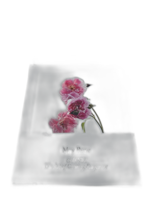 Chanel White & Black Floral Box Inc. Book White & Black