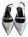J Crew Shoe Size 9 Silver Leather Pointed Toe 1 strap Mid Heel Slingback Shoes Silver / 9