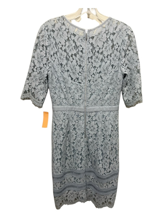 Hobbs Size 6 Baby Blue Cotton Blend Lace Overlay Zip Back Midi Round Neck Dress Baby Blue / 6