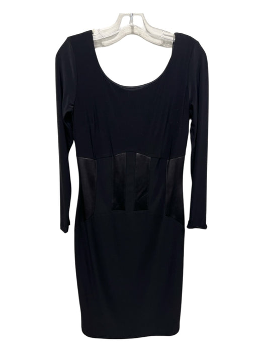 Frank Lyman Size 8 Black Polyester Blend Panel Detail Above Knee Dress Black / 8