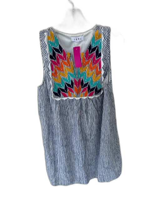 THML Size M Blue & Multi Rayon Sleeveless Striped Embroidered Dress Blue & Multi / M