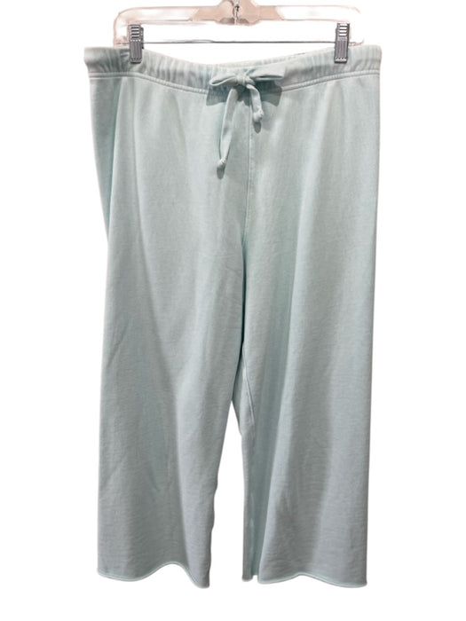Frank & Eileen Size L Aqua Cotton Elastic Waist Drawstring Jogger Crop Pants Aqua / L