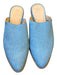 Frye Shoe Size 9.5 Blue Canvas Mules Blue / 9.5