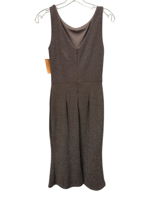 Betsy & Adam Size 6 Taupe Gray Polyester Blend Sleeveless Metallic Thread Dress Taupe Gray / 6