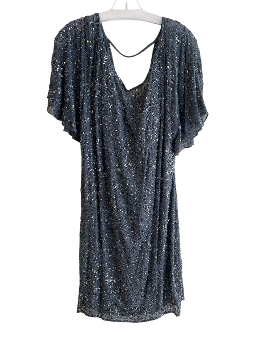 Aidan Mattox Size 14 Grey Polyester Beaded & Sequined Flutter Sleeve Dress Grey / 14