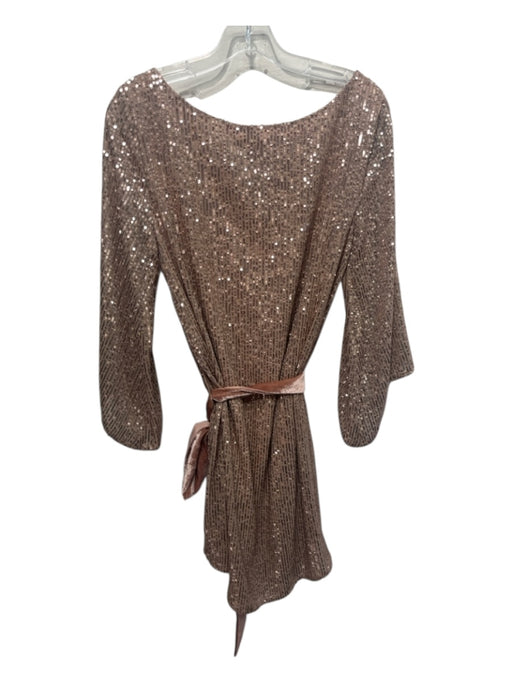 Anthropologie Size M Rose Gold Polyester & Viscose Sequined Sash Dress Rose Gold / M