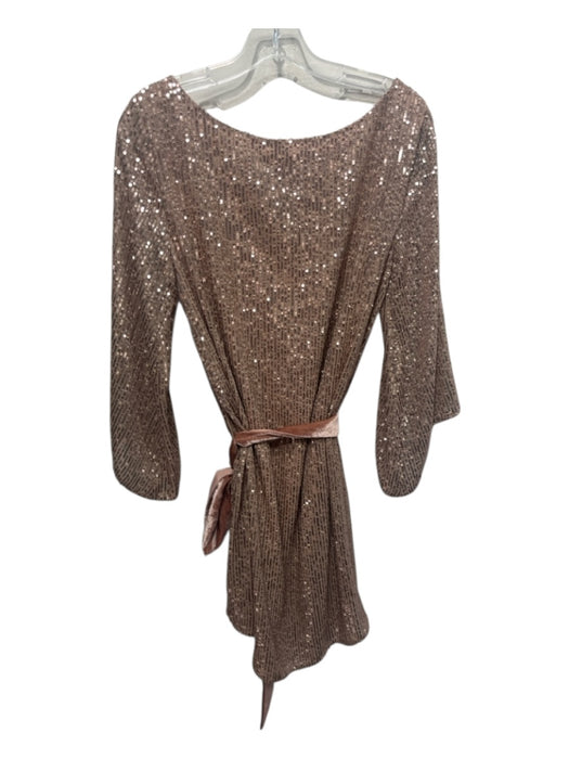Anthropologie Size M Rose Gold Polyester & Viscose Sequined Sash Dress Rose Gold / M