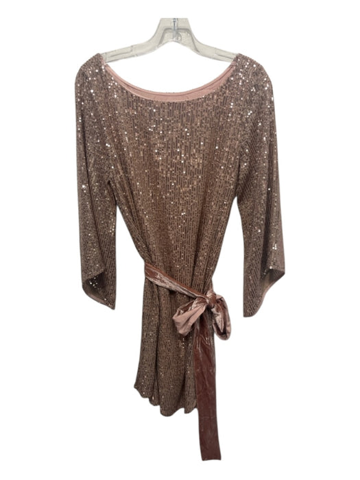 Anthropologie Size M Rose Gold Polyester & Viscose Sequined Sash Dress Rose Gold / M