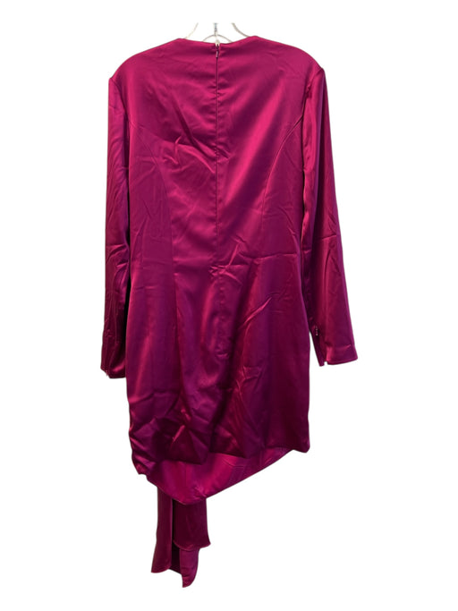Ieena for Mac Duggal Size 10 Dark Pink Polyester Long Sleeve Back Zip Dress Dark Pink / 10