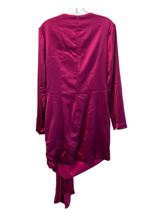 Ieena for Mac Duggal Size 10 Dark Pink Polyester Long Sleeve Back Zip Dress Dark Pink / 10