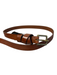 Madewell Brown Leather Brass Hardware Square Buckle Thin Belts Brown / S