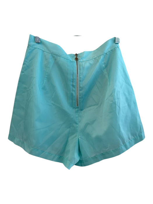 Emily McCarthy Size Small Aqua Polyester Back Zip Flat Front Tailored Shorts Aqua / Small