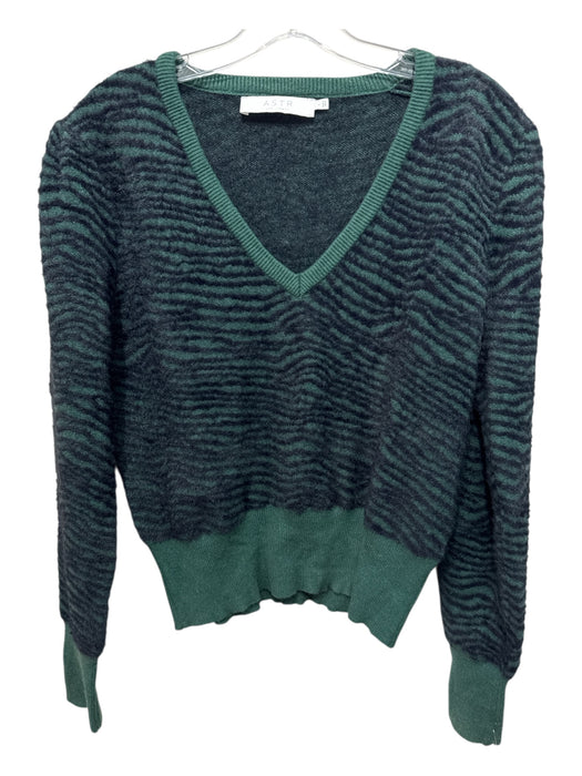 ASTR Size Large Green & Black Polyester Long Sleeve Animal Stripe V Neck Sweater Green & Black / Large