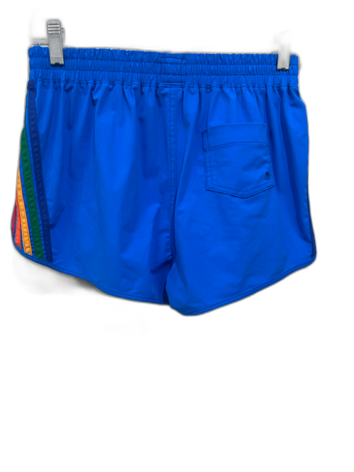 Aviator Nation Size M Cobalt Blue & Multi Polymide Blend Rainbow Stripes Shorts Cobalt Blue & Multi / M