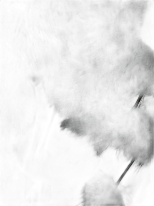 Black Rabbit Fur Balls Stationed scarf Black / One Size