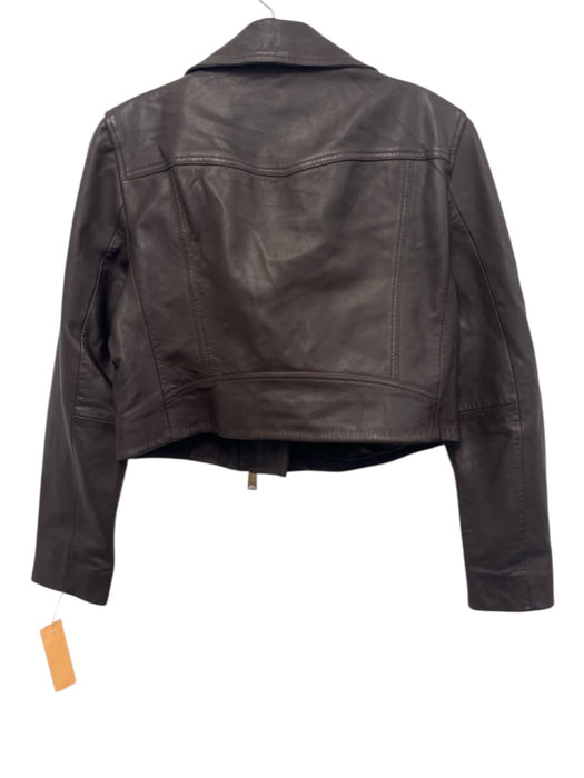 ALLSAINTS Size 8 Black Sheep Leather Gold hardware Cropped Biker Jacket Black / 8