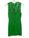 Alice & Olivia Size Est XS Green Nylon Blend Sequin Sleeveless Back Zip Dress Green / Est XS