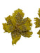 Deepa Gurnani Yellow Print Beaded Flowers Post Back Earrings Yellow Print