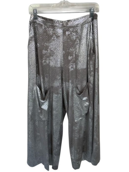 Alembika Size 2/M Gray & Silver Vegan Suede Perforated Metallic Pants Gray & Silver / 2/M