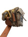 MCM Tan & brown Canvas & Leather Monogram Top Zip Snap Flap Adjustable Band Bag Tan & brown / Small