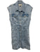 Madewell Size 6 Light Wash Cotton Denim Sleeveless Button Front Collared Dress Light Wash / 6