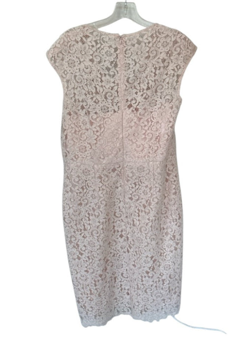 Shoshanna Size 12 Blush Lace Sleeveless lined Boning Back Zip Dress Blush / 12
