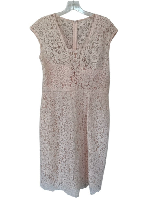 Shoshanna Size 12 Blush Lace Sleeveless lined Boning Back Zip Dress Blush / 12