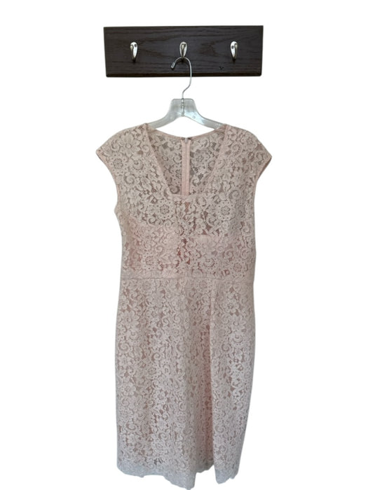 Shoshanna Size 12 Blush Lace Sleeveless lined Boning Back Zip Dress Blush / 12