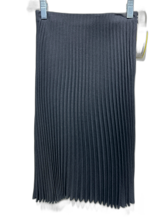 Valentino Size 2 Charcoal Gray Polyester Side Zip Knee Length Skirt Charcoal Gray / 2
