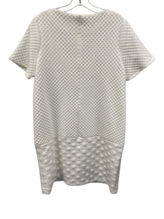 1. State Size L White Polyester Circle Textured Short Sleeve V Neck Dress White / L