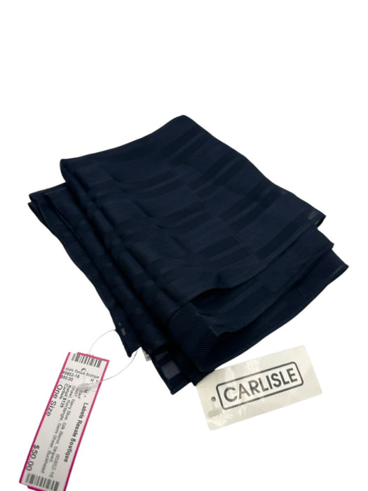 Carlisle Navy Blue Silk Blend Striped Shawl Rectangle Semi Sheer scarf Navy Blue / One Size