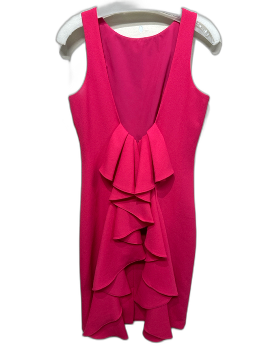 Badgley Mischka Size 6 Hot pink Polyester Sleeveless Wide Neck Below knee Dress Hot pink / 6