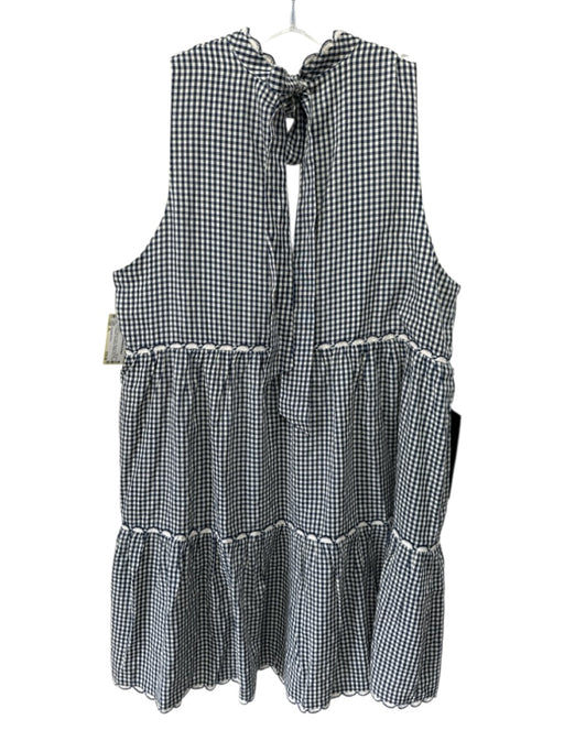 Pomander Place Size XL Blue & Cream Rayon & Polyester Gingham Sleeveless Dress Blue & Cream / XL