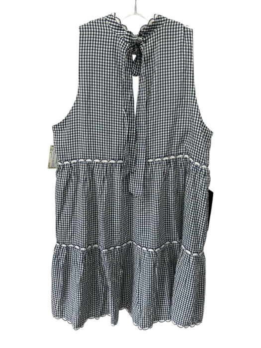 Pomander Place Size XL Blue & Cream Rayon & Polyester Gingham Sleeveless Dress Blue & Cream / XL