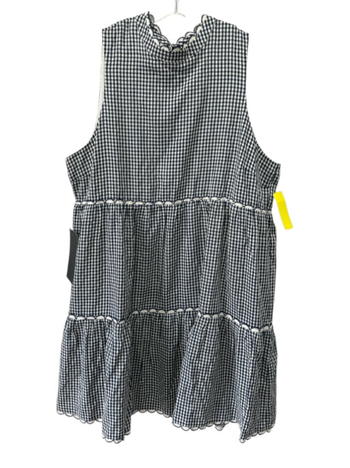 Pomander Place Size XL Blue & Cream Rayon & Polyester Gingham Sleeveless Dress Blue & Cream / XL