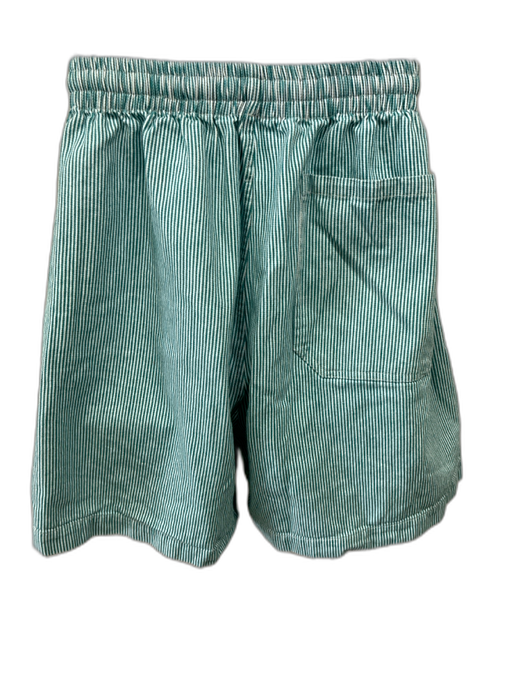 Bode Size M/L Green & White Cotton Striped Men's Shorts Green & White / M/L