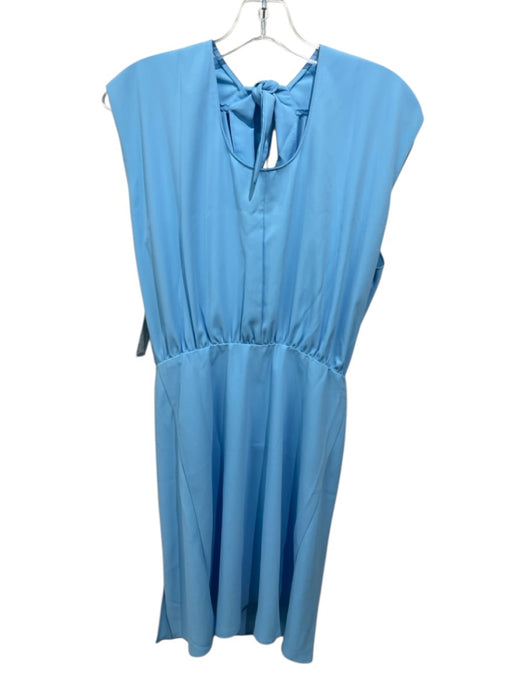 Amanda Uprichard Size Medium Light Blue Polyester Sleeveless Back Tie Dress Light Blue / Medium