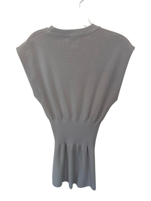Zara Size M Gray Scrunch Detail Cap Sleeve Mini Dress Gray / M