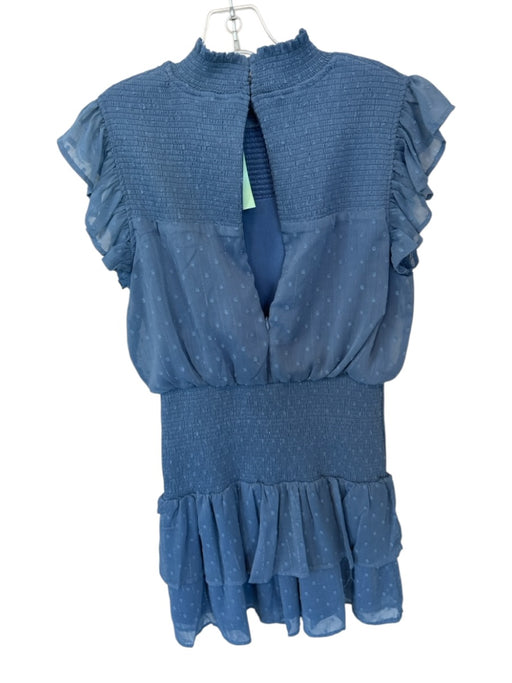 Aqua Size M Slate Blue Polyester Blend Flutter Sleeves smocked Swiss Dot Dress Slate Blue / M