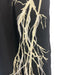 Halston Heritage Size 2 Black & Cream White Polyester Spaghetti Strap Dress Black & Cream White / 2
