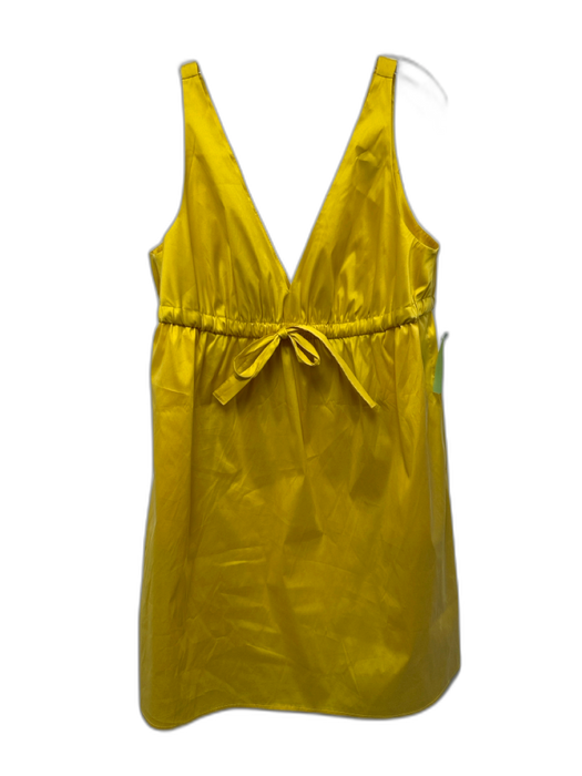 J Crew Size 14 Yellow Polyester & Polyamide Sleeveless V Neck Empire Waist Dress Yellow / 14