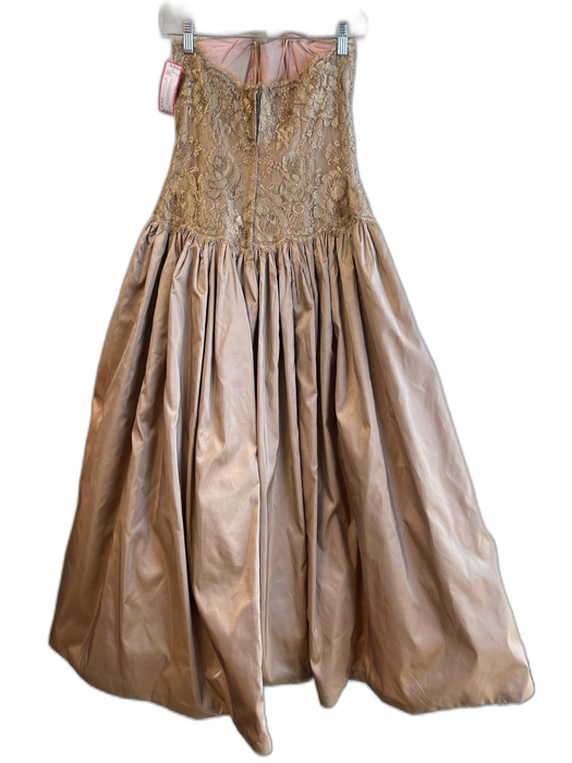 Chris Kole Size 10 Gold & Light Brown No Fabric Tag Strapless Boned Gown Gold & Light Brown / 10
