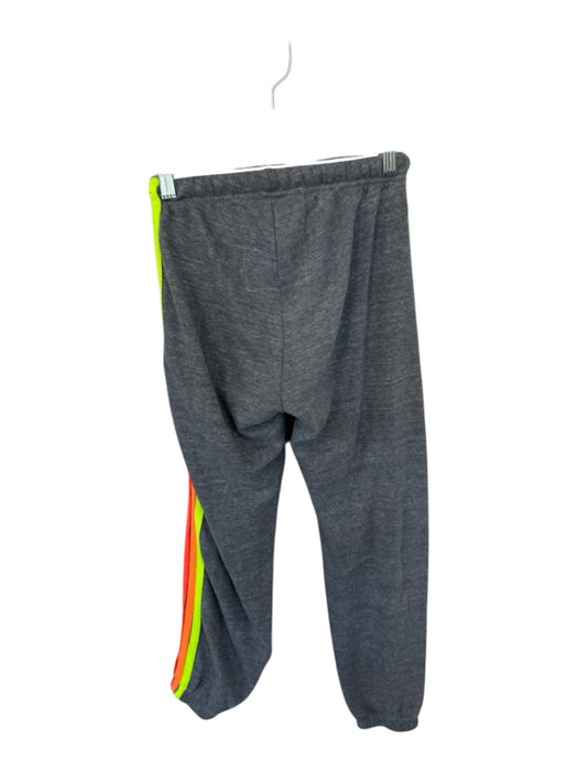 Aviator Nation Size XS Gray & multi Cotton Elastic Waist Side Stripe Pants Gray & multi / XS