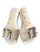 Sam Edelman Shoe Size 7.5 Tan & brown Raffia Buckle Platform Sandals Tan & brown / 7.5