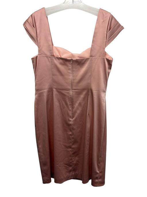 Kay Unger Size 12 Light Pink Acetate & Nylon Sleeveless Back Zip Satin Dress Light Pink / 12
