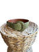 Green Leather Snake Skin Wide Belts Green / Est S