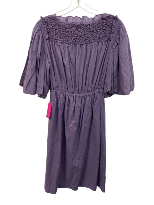 Rebecca Taylor Size XS Dusty Purple Cotton Short Bubble Sleeve smocked Dress Dusty Purple / XS