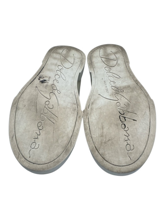 Dolce & Gabbana Shoe Size 39 White & Bronze Leather Upper Lace Up Logo Sneakers White & Bronze / 39