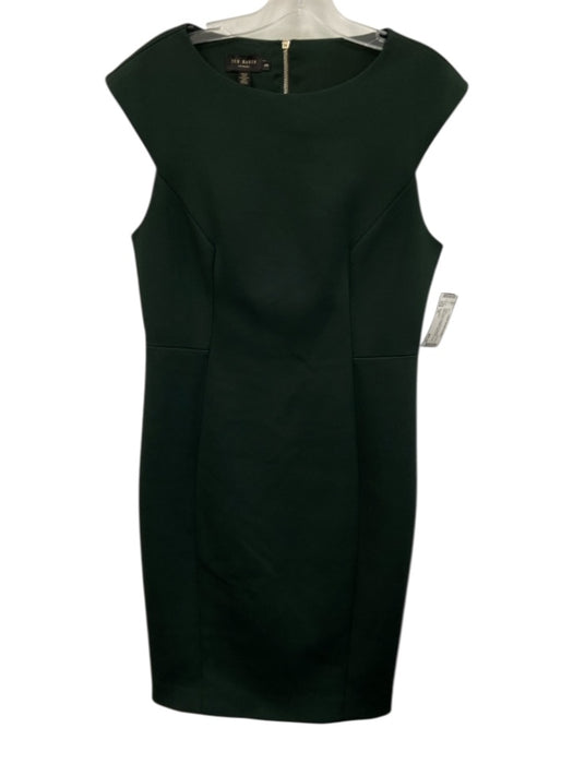 Ted Baker Size 3/L Dark Green Polyester & Elastane Sleeveless Paneled Dress Dark Green / 3/L