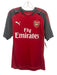 Puma Size M Red Synthetic Solid Athletic Soccer Men's Short Sleeve Red / M